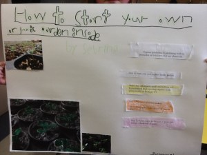 How To Start Indoor Garde