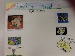 Saving Seed