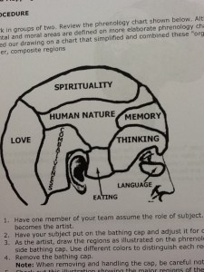 A depiction of the 1850's knowledge of the brain.