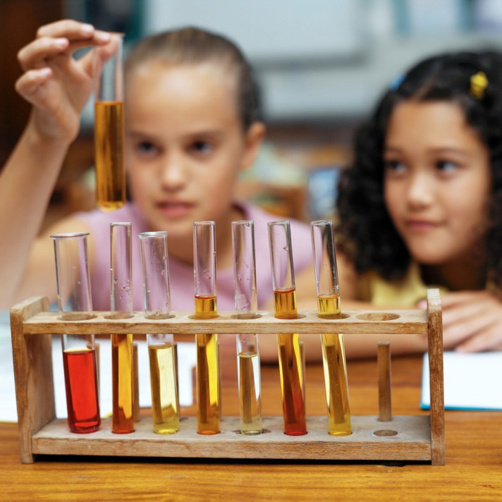 Two Girls (10-12) Looking at a Rack of Test Tubes