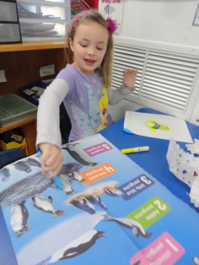 Are there different sizes of penguins?