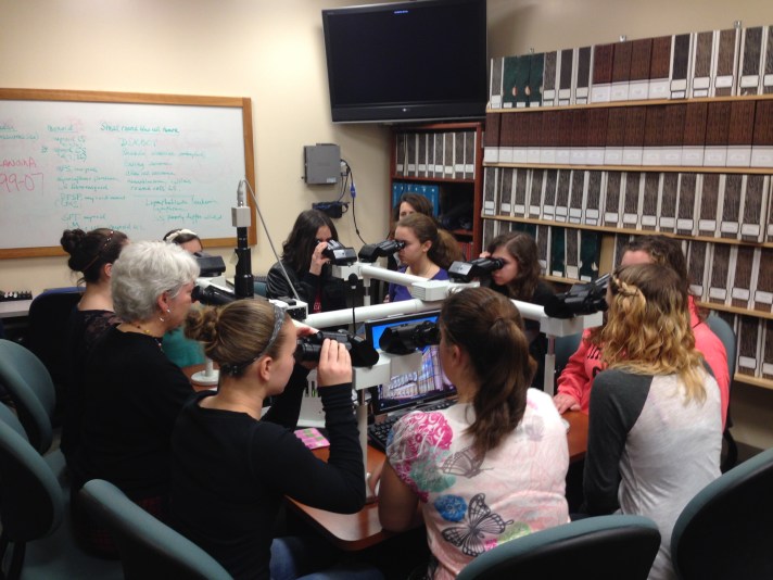 Students look at a sample of cancerous lung tissue under the ten headed teaching scope. Students learned how doctors work together to accurately diagnose diseases from cell samples. 