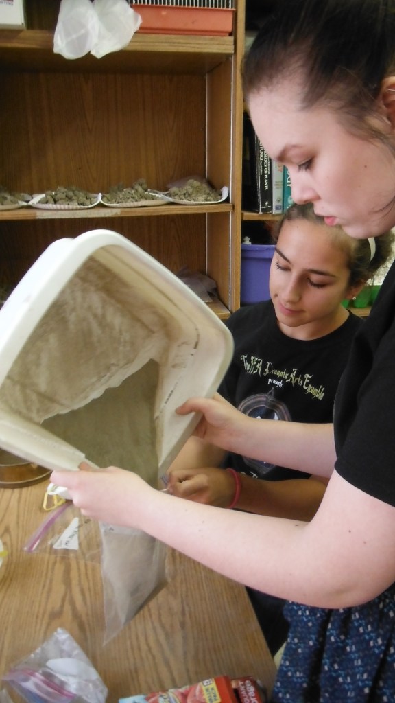 BFA students Sophie Lee (foreground) and Rebekah Larose prepare soil samples for analysis.