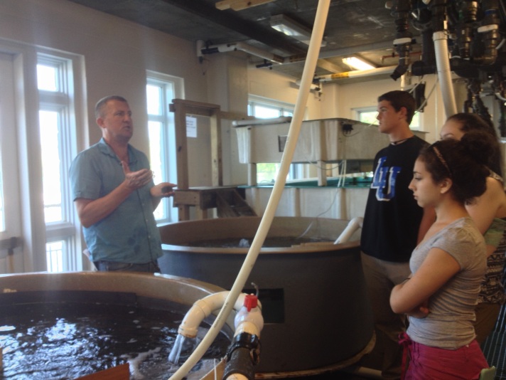 (Dave Remsen Director of Marine Specimen Collections at the Marine Biological Laboratory at Woods Hole describes the importance of marine specimens to research as BFA students Rebekah Larose, Dave Legris and Sophie Lee look on.)