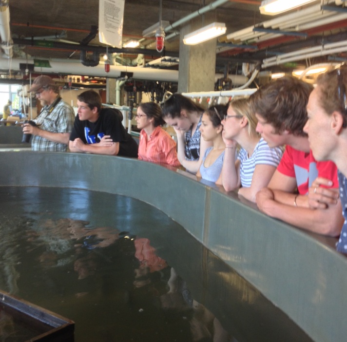 (Dr. John Schade, Dave Legris, Dr. Sue Natali, Sophie Lee, Rebekah Larose, German Research Assistant, HS intern from CO, Dana Mock listen around the “squid tank” to Dave Remsen describe the Lab’s activities.)