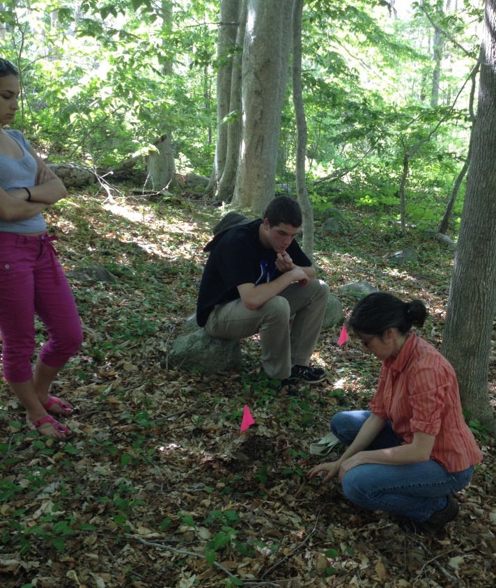 (WHRC scientist Dr. Sue Natali demonstrates removing decomposition bags for  analysis while BFA students Rebekah Larose and David Legris look on.) 
