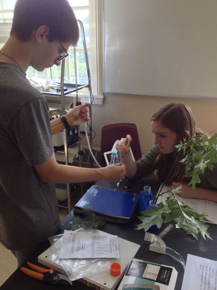 (BFA students Devan Borthwick (left) and Samantha King set-up an experiment to measure transpiration rate in Quercus palustris (Pin Oak) at the “Leaves of Green” workshop, St. Michael’s College.)