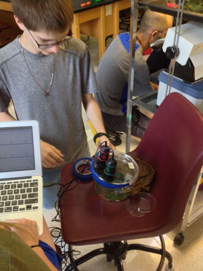 (BFA student Devan Borthwick sets up an experiment to measure relative humidity vs photosynthetic rate of Malus sieboldii (flowering crab apple) using a growth chamber, CO2, O2 and humidity Vernier sensors. Samantha King (in the foreground) collects data.)