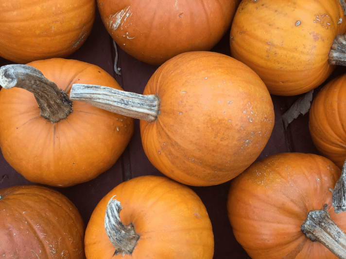 Photo by Molly Wimette