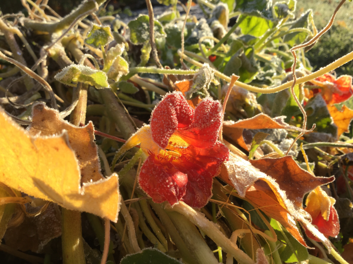 Photo by Hazel Albee