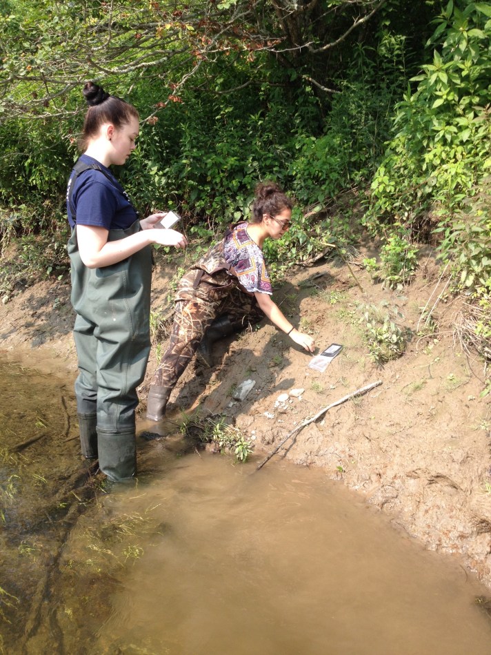 BFA students Sophie Lee and Rebekah Larose deploy Global Decomposition bags in the Bank Zone at Black Creek in E. Fairfield during July 2015.