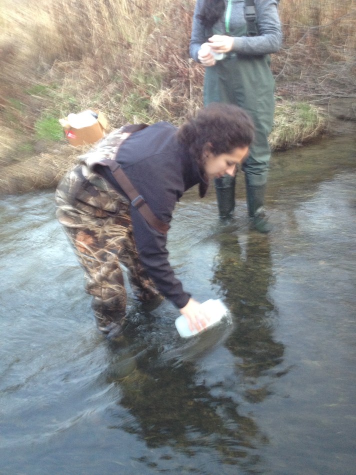 Rebekah Larose and Sophie Lee collect water samples at Black Creek in E. Fairfield for phosphate analysis.