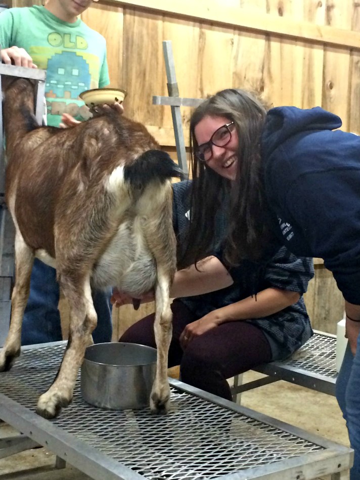 Abi T learning how to milk a goat