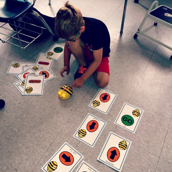 a child discovers a beebot