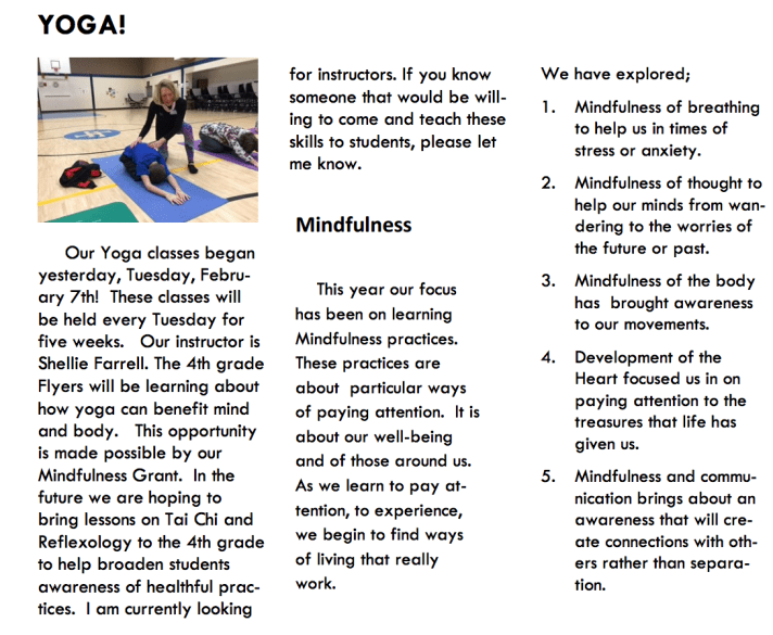 FES yoga infographic.png