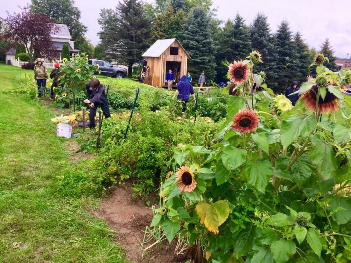 BFA Fairfax Farm Garden