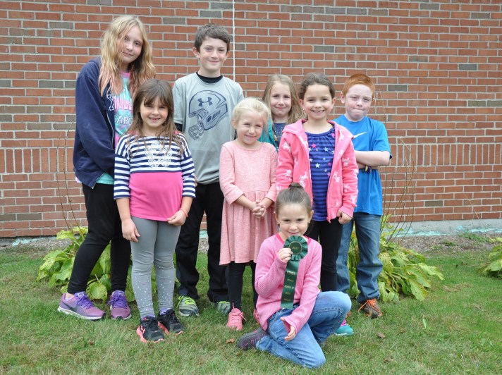 Fletcher Falcons are proud of their VT-PBIS School of Merit ribbon!