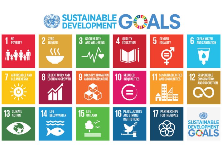The UN Goals for Sustainability