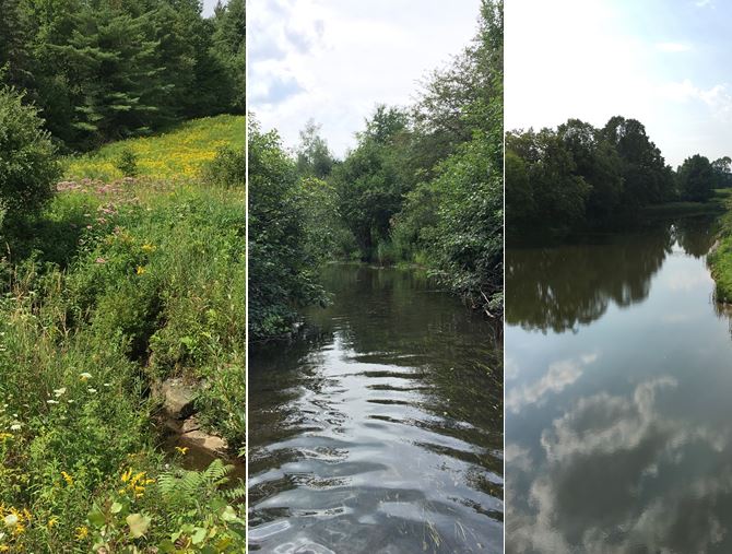 Research on phosphate movement at Black Creek.