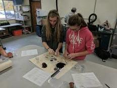 Students investigating the parts of a k-cup.