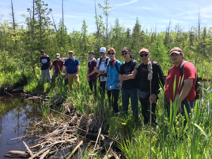 (Lucky to find a beaver dam to cross Dead Creek in the middle of Fairfield swamp.) 
