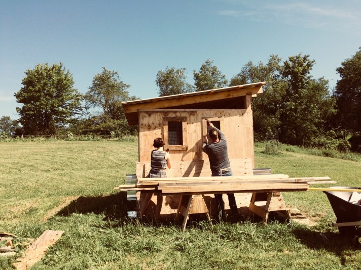 chicken house windows