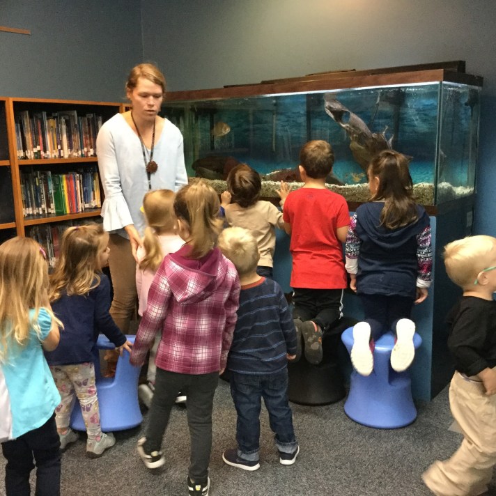 GEMS PK New Things15