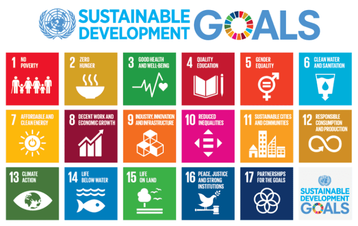 787px-Sustainable_Development_Goals_chart.svg